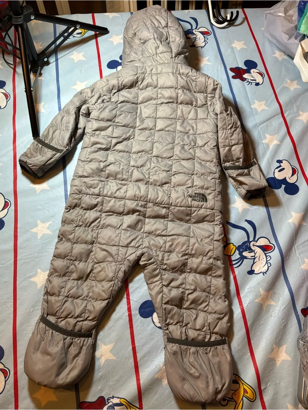 The North Face north face